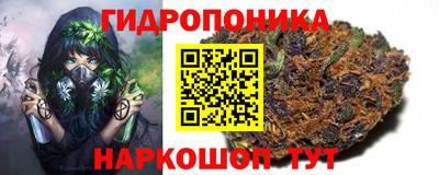 гидра Донецк