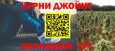 гидра Донецк