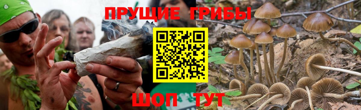 Мурино  Псилоцибиновые грибы Magic Shrooms  Вход с VPN 