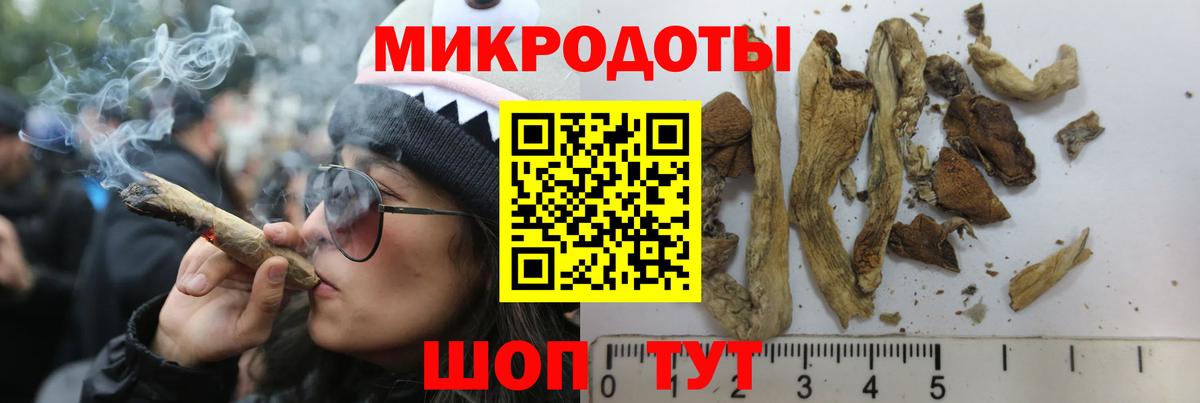 Псилоцибиновые грибы Cubensis Мурино
